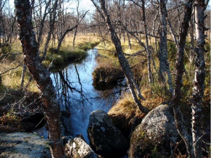 Idyll i Veslegrytdalen. Foto Hans Sollid