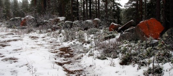 Bilde av "vegmerking" i Lonfossen. Foto Hans Sollid