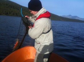 Garna trekkes , Atnsjøen 2012 foto Ole Nordahl
