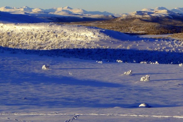 Desemberfjell foto Torstein Storaas