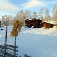 Juleneket på plass på Amperhaugen