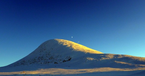 Muen og annen flott Sollia-natur kan du nå sjå på mobilen din foto Jo Øvergaard