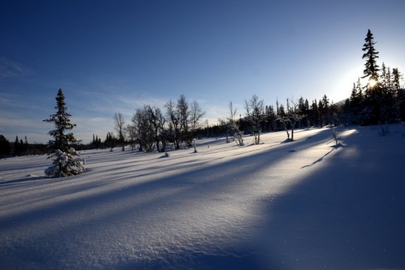Midtbekklia januar 2013
