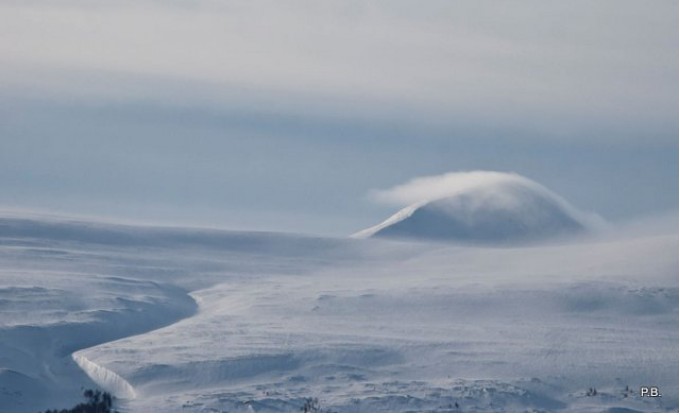 Ruskvær mot Bubekkdalen med Muen i bakgrunnen. Foto Peter Bontrop