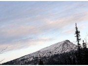 3 skogvernområder i Sollia