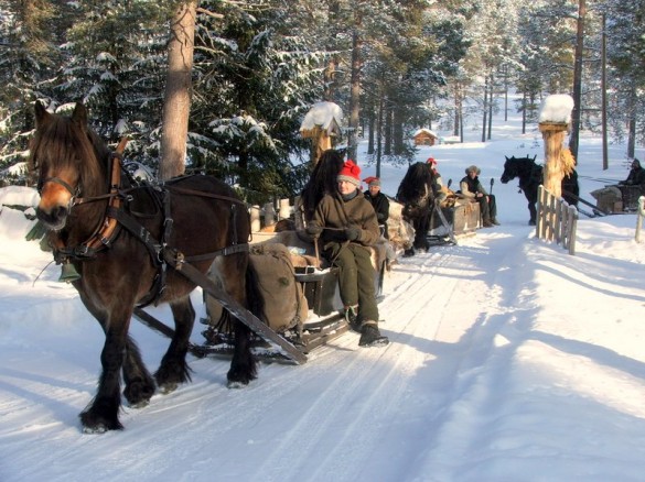 Lasskjører fra Fron foto Elise og Håkon Edv. Nesset