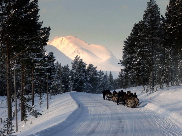 FOTO ELISE NESSET