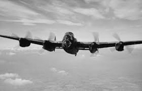 Sterling bombefly