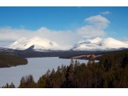 Von om vår