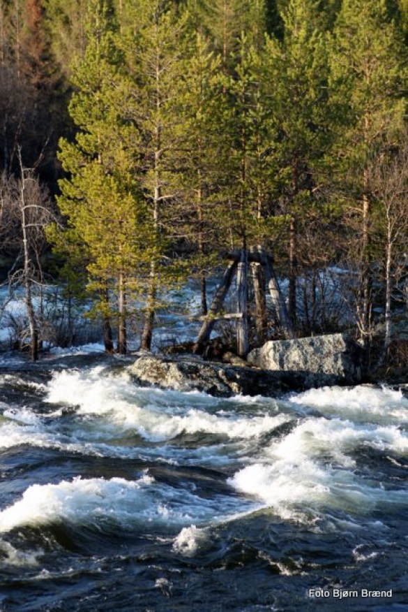 Finstadskjæret. Foto Bjørn Brænd