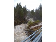 Flere flombilder