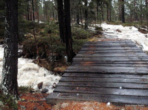 Flombilde. Foto hans Sollid