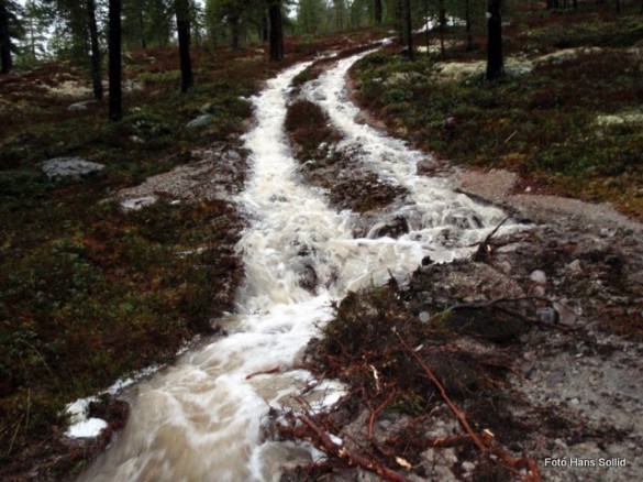 Flombilde. Foto Hans Sollid