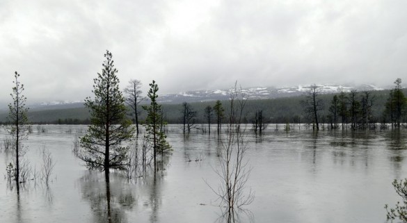 foto Jo Øvergaard