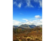 Inngrepsfri natur