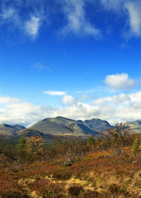 Rondane gjør seg også med høstfargene i forgrunnen. Foto Per Bjørkum