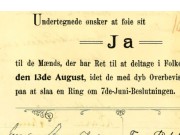 Disse krevde stemmerett