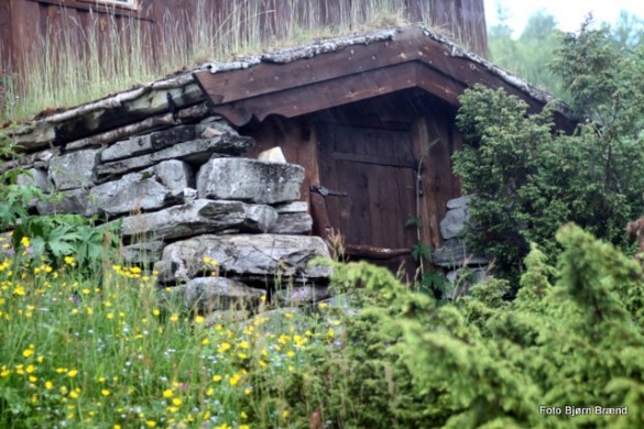 Av gammel dato på Wollumsetra. Foto Bjørn Brænd