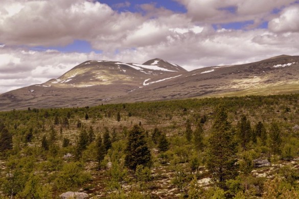 Blåkampen, Gravskardshøgda og Seterhøa frå Nørdre Næråskærven foto Jo Øvergaard