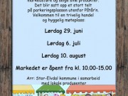 Markedsdager på Koppang