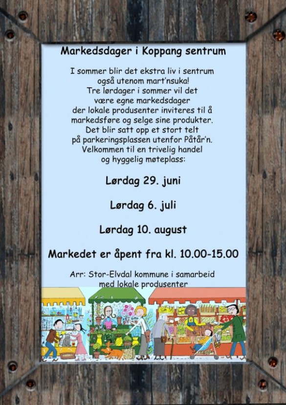 Markedsdager Koppang sentrum 2013