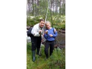 Bekkaure er fin stekfisk