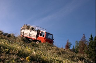 Her slepper Stein seg åt...foto Jo Øvergaard