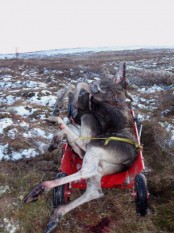 Bilde av trangt om plassen på den andre vendinga. Foto Hans Sollid