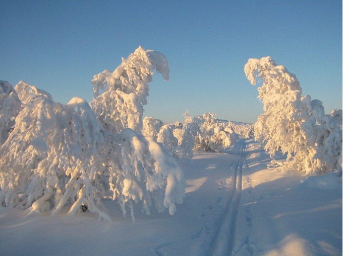 Løypeportal. Foto Jo Øvergaard