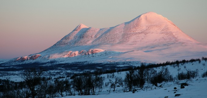 Sølnkletten i desembersol. Foto Jo Øvergaard