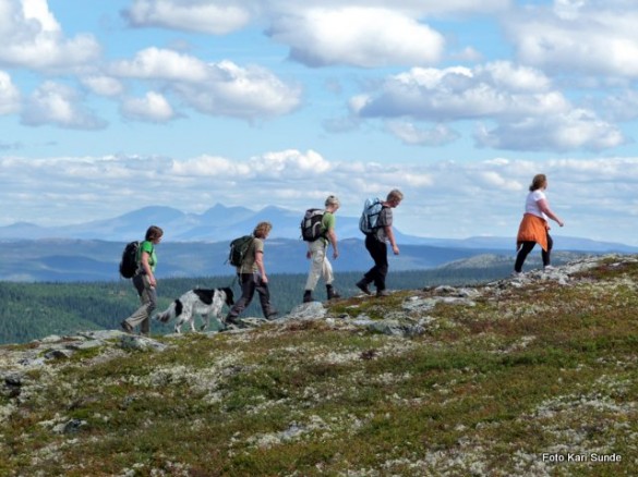 Foto fra tur til Ledsageren. Foto Kari Sunde
