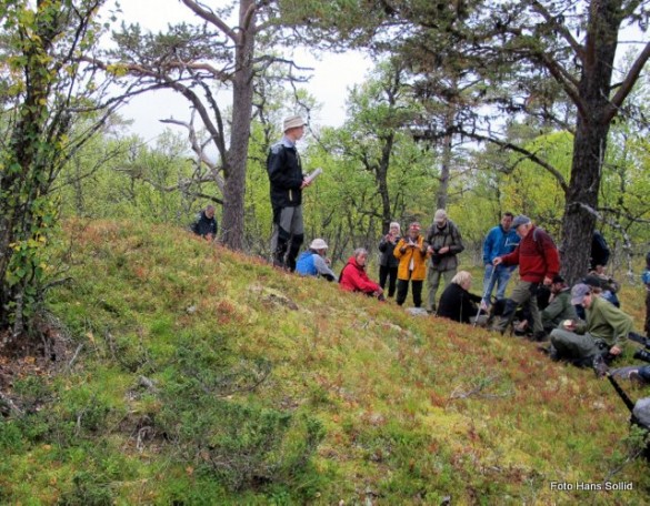 Den mystiske haugen nordi lia