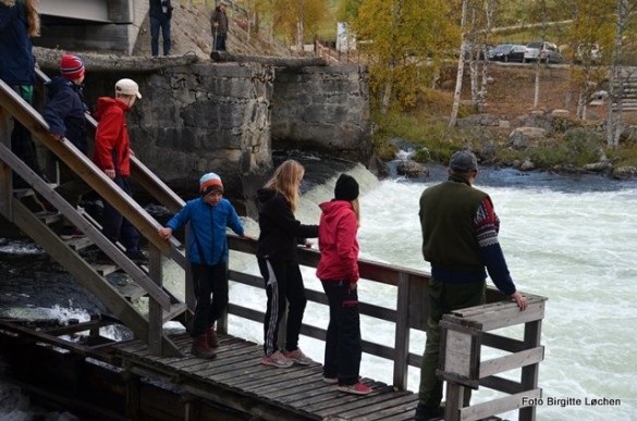 Rondane 4-H prøver å finne ut hvilke båter som kommer gjennom fossen. Foto Birgitte Løchen