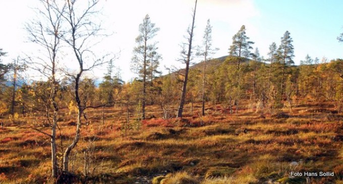 Myra stråler i farger.