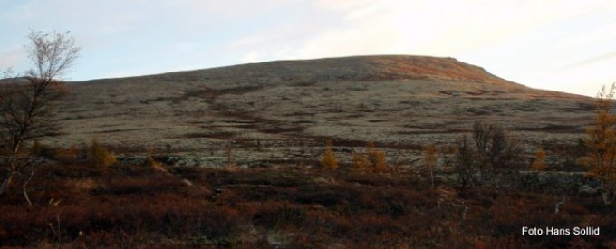 Setervola