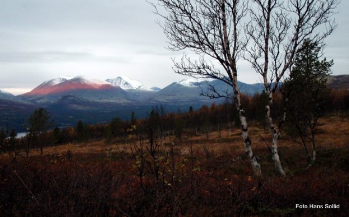 Morgenstemning fra elgposten. 