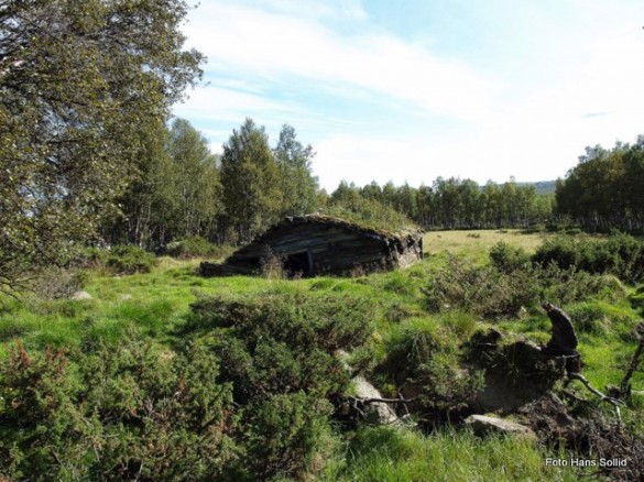 Fjøset og deer av setervangen. Foto Hans Sollid