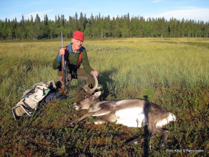 Renfall på myra. Foto Knut S Rønningen