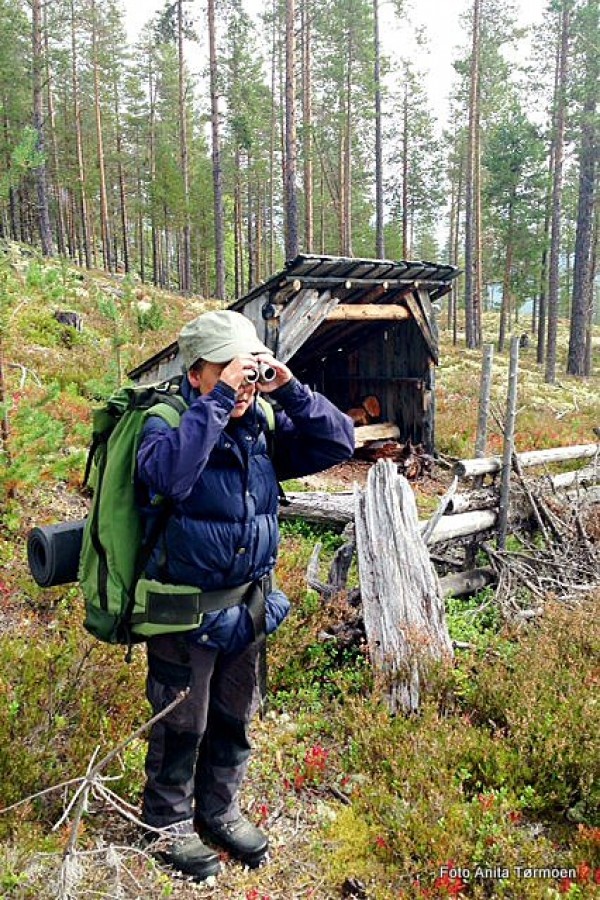Jegerlærling. Foto Anita Tørmoen