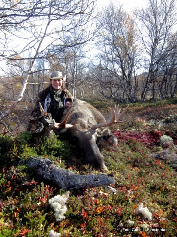 Den førsteelgen i 2013. Foto Gunhild Blæsterdalen