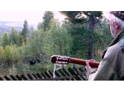 Stem på Elgvis