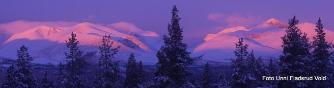 Morgensol i Rondane. Foto Unni Fladsrud Vold (1)
