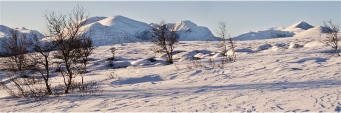 Rondane fra Megrunnslia. Foto Per Bjørkum