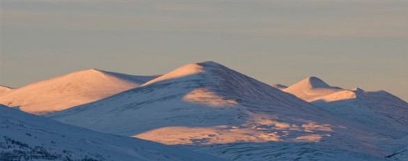 Vinterfjell i Sollia foto Per Bjørkum