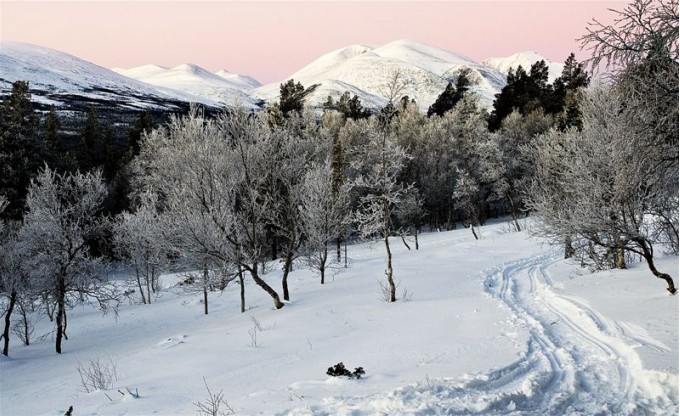 Rondane fra Megrunnslia. Foto Per Bjørkumi