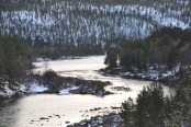 Bilde av Sryken foto Jo Øvergaard