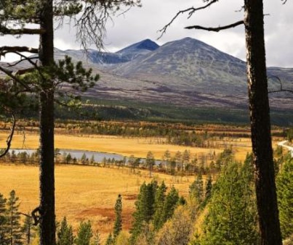 Høst Hyrsjberget. Foto Per Bjørkum 