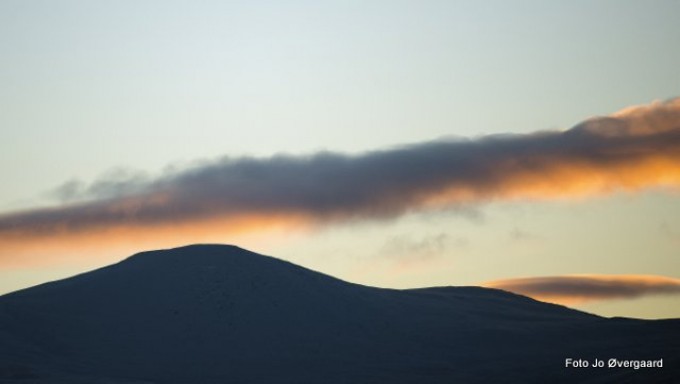 Vakldreshøgda i kveldssol. Foto Jo Øvergaard