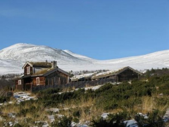 Uthisetra på Sjølisetra mot Gravskarhøgda. Foto Berit Gomnes