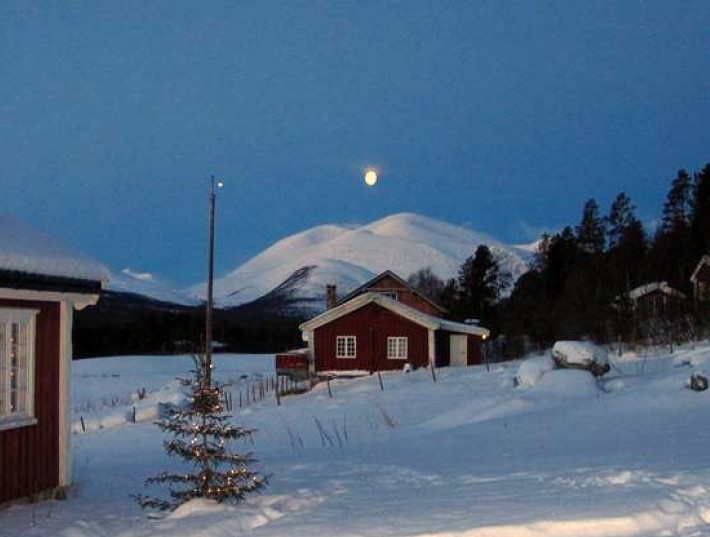foto Seppo Heinonen
